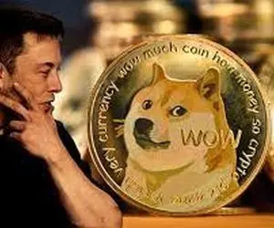 درخواست عاجزانه ایلان ماسک از دوج کوینی ها!