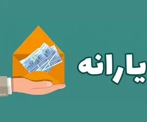 این افراد و خانواده ها در معرض حذف یارانه قرار دارند