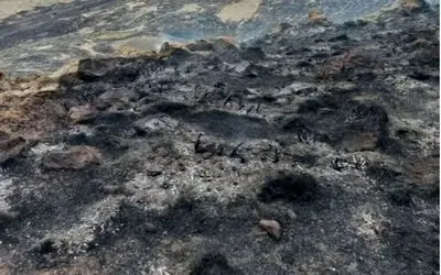 آتش گسترده، مراتع بام ایران را خاکستر کرد