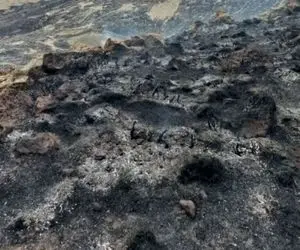 آتش گسترده، مراتع بام ایران را خاکستر کرد