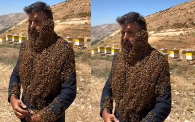 جل الخالق؛ مردی که با زنبور احاطه شده؛ دلیل حمله این همه زنبور عسل به این مرد چیست؟