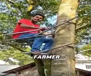 کشاورزی نوین؛ بالابر درخت ساختن دیگه برا بالا رفتن نه زخمی میشن نه از کت و کول میفتن