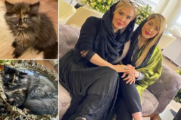 zohre fakoursabour shayanews