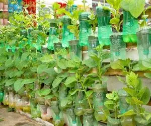 ایده های خلاقانه؛ باغچه ایستاده یه نمای لاکچری به خونت میده درست کردنش هم کاری نداره