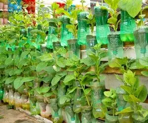 ایده های خلاقانه؛ باغچه ایستاده یه نمای لاکچری به خونت میده درست کردنش هم کاری نداره