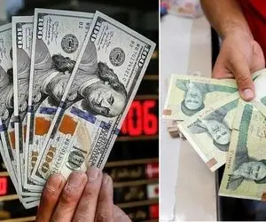 قیمت دلار امروز یکشنبه 19 بهمن؛نرخ ها دوباره روی موج صعود