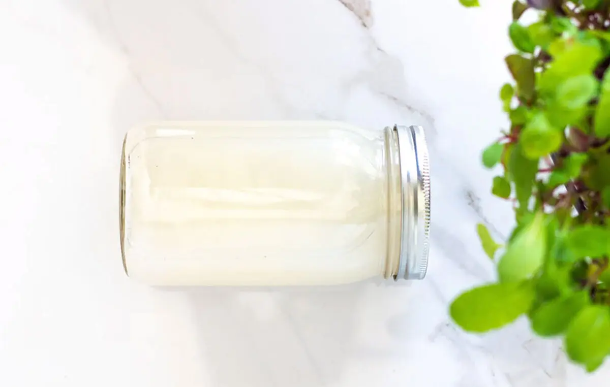 Benefits-of-rice-water-for-plants-06