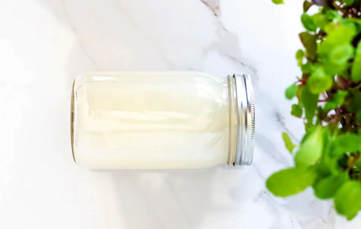 Benefits-of-rice-water-for-plants-06