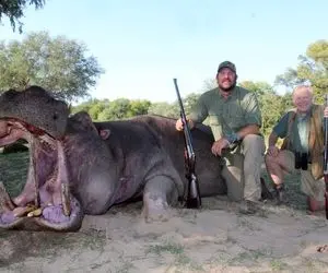 شکارچیان دیو افکن؛ این شکارچیا اسب آبی که اندازه کشتی هست رو مفت و آسون صید کردن