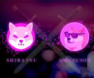 دوج کوین و شیبااینو غرق شدند؟!