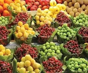 قیمت میوه های نوبرانه چند شد؟ 