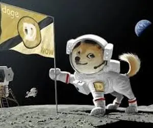 "دوج کوین" نزدیک به منطقه انفجار؟!