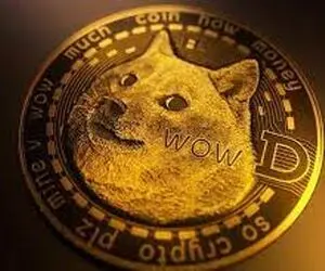 دلیل سراسیمه شدن دوج کوین؟