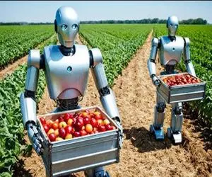 کشاورزی بدیع؛ گوجه فرنگی 10 هکتار زمین تو 10 ثانیه با ربات کشاورز جمع و رب شد