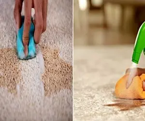 پاک کردن روغن از روی فرش با بی بی دی بابیدی بو / دوتا خورنده ی چربی که تو خونت داری