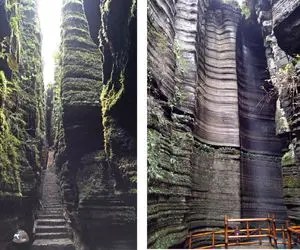 زیباترین مکان‌های روی زمین؛ این جنگل از جنس سنگه انقد باریکه یه ادم زورکی رد میشه