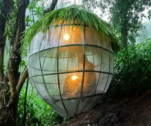 معماری خلاقانه؛ تو جنگل با سلفونو چوب خونه معلق ساخت خیس نشه از حمله خرس در امان باشه