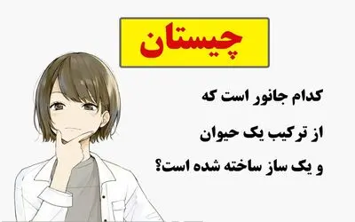 چیستان فکری؛ کدام جانور است که از ترکیب یک حیوان و یک ساز ساخته شده است؟