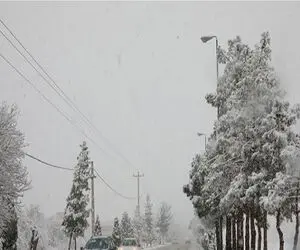 هشدار نارنجی آلودگی در تهران و کلان‌شهرها؛ هوای خطرناک تا ۳ دی