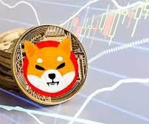 چطور شیبا به 0.001 دلارمی رسد؟