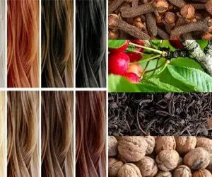 فرمول های شگفت انگیز برای تهیه رنگ موی طبیعی از مواد خوراکی / از بلوند بگیر تا شرابی