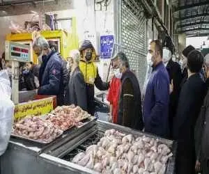 مرغ دولتی بگیریم یا کرونا؟