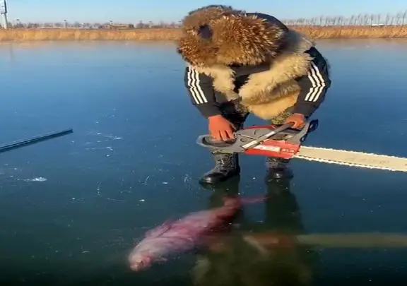 معماری طبیعت؛ ماهی تو دریاچه یخ زده با اره درمیارن بیرون کبابش کنن