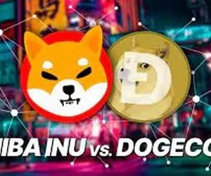 کاربران شیبااینو یا دوج کوین راه نجات پیدا خواهند کرد؟!