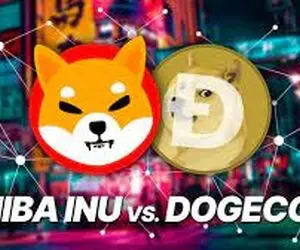 کاربران شیبااینو یا دوج کوین راه نجات پیدا خواهند کرد؟!