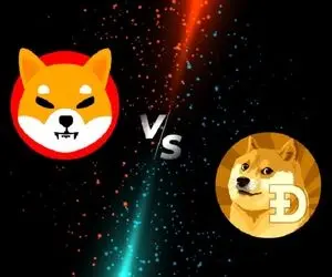 نبردی وحشتناک بین"دوج کوین" و "شیبا"!