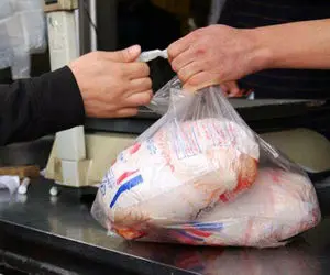 افزایش ۸۲ درصدی قیمت مرغ ، واردات ۲.۹ میلیارد دلاری ذرت و سویا