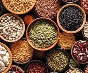 انفجار قیمت حبوبات و برنج؛ شوک گرانی به قشر کارگر