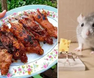غذای چندش؛ موشارو ضربه مغزی و شکمشونو سفره میکنن بعد کباب زدن با ملچ مولوچ میخورتشون