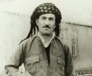 آواز جیگرسوز؛ حسن زیرک با اون کلاه چه ناله کنان آهنگ من بریندارم رو خوند!