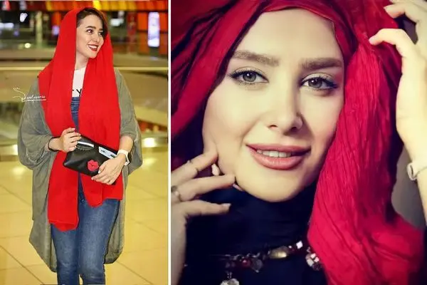 elnaz habibi shayanews