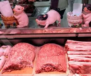 فرآوری خوک؛ خوک قلمبه صورتی حرومی و از آتیش رد و اسلایسی کرد میلیاردی فروخت