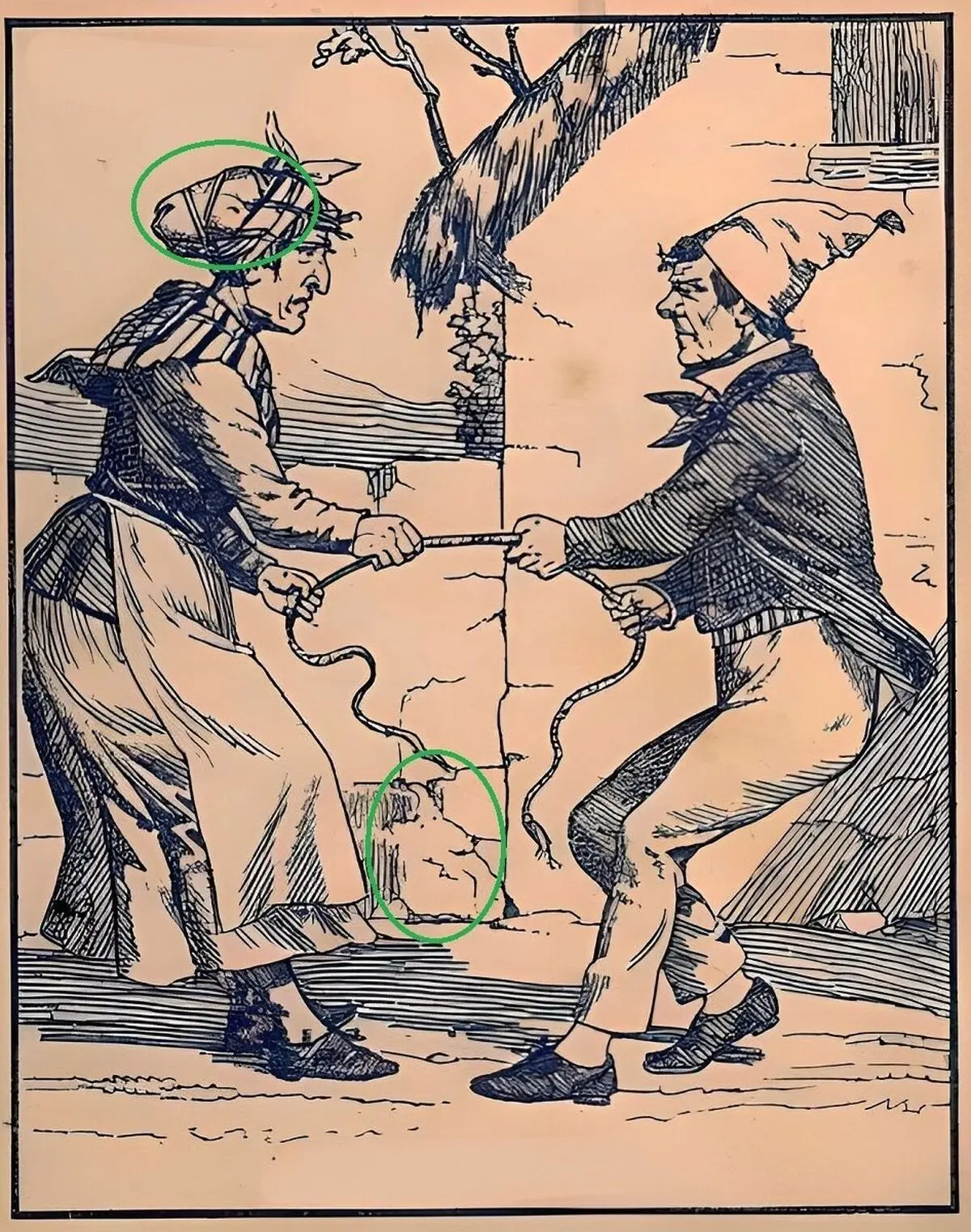 گیس
