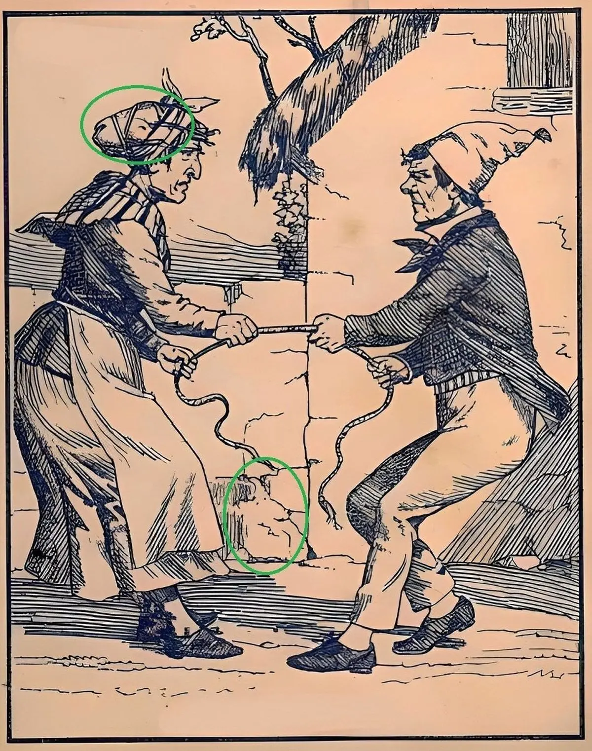 گیس