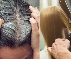 شماره رنگ مو و ترکیب رنگ های مناسب برای موی سفید؛ از بلوند، تا قهوه ای شکلاتی و بژ