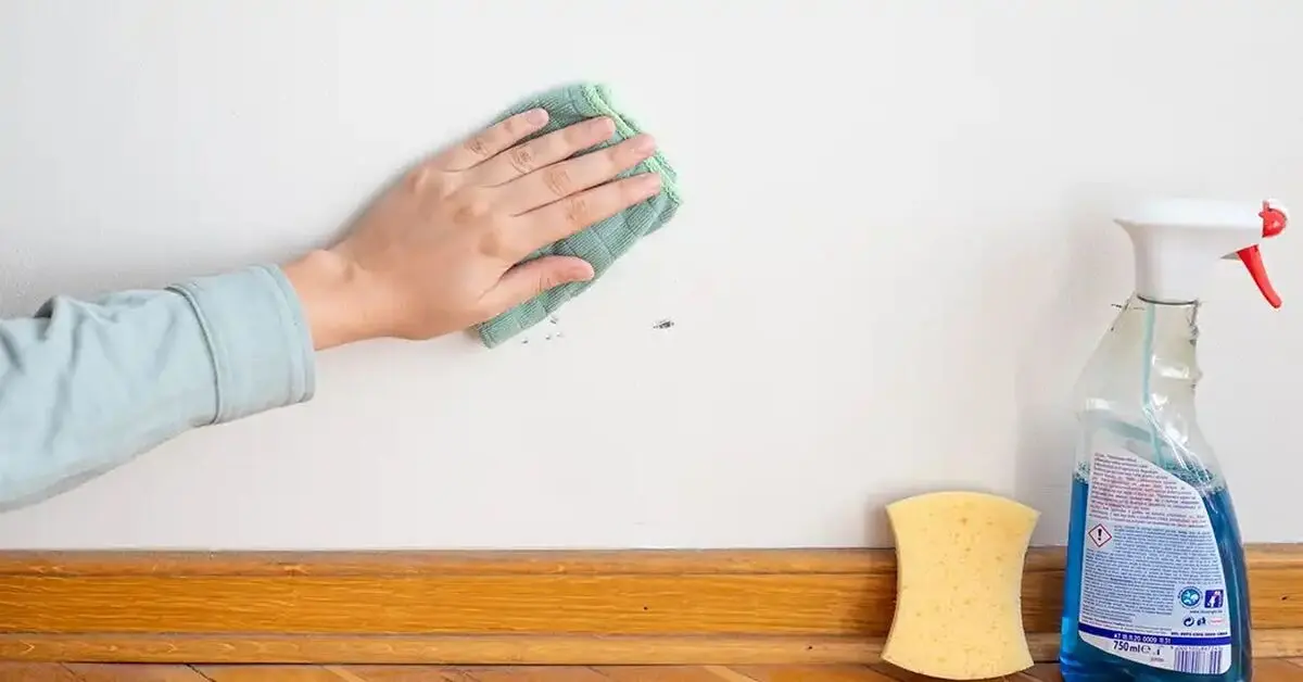 cleaning-white-wall-3