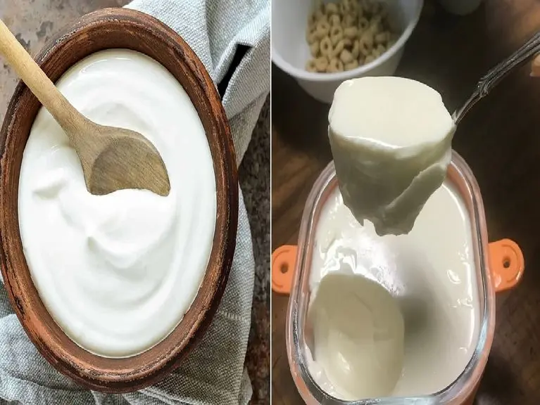 درست کردن ماست سفت و کش دار با شیر؛ با این دستور از ماستای شرکتی هم بهتر میشه