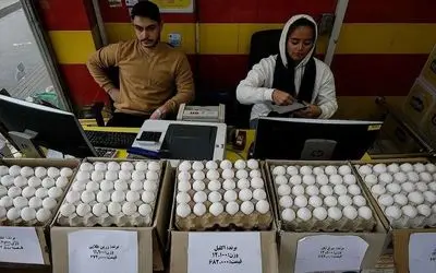 قیمت تخم‌مرغ دوباره رکورد زد