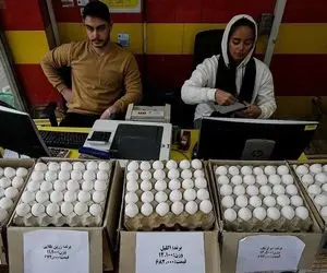 قیمت تخم‌مرغ دوباره رکورد زد
