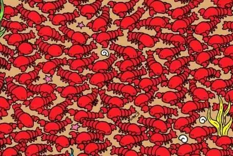 بازی فکری؛ اگه با هوشت ملتو به خاک و خون کشیدی بین لابستر خرچنگ های ورپریده رو دریاب