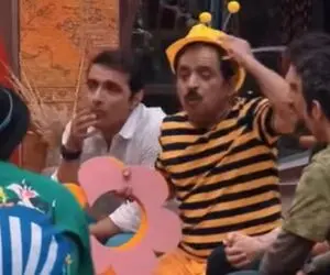 جوکر تایم زنبور رشید در جوکر؛ عاشق هاچ شد میخواد بره بالا درخت کاج شاهرخ طاقتش طاق شد