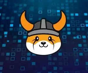 فلوکی اینو رو دست میم کوین ها میزنه؟