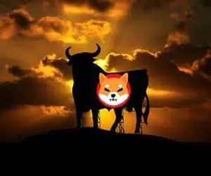 گاوهای شیبااینوکی حماسه می آفرینند؟