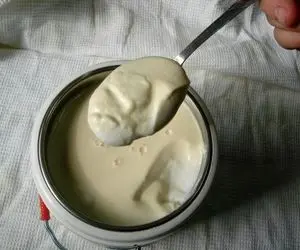 آشپزی حرفه ای؛ طرز تهیه ماست خونگی با این ترفندها حسابی سفت و خوشمزه میشه