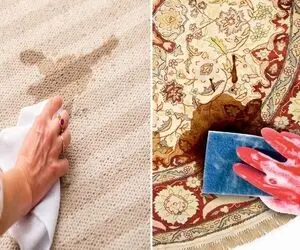 لکه گیری فرش در خانه بدون شستن / بعد عید و مهمون بازیش فرشت لک گرفته با اینا تمیزش کن