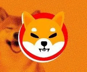 ادعای عجیب نسبت به شیبا و رقیبش!